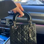 Dior Black Cannage PDR Bag