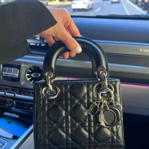 Dior Black Cannage PDR Bag