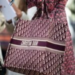 Christian Dior Tote Bag
